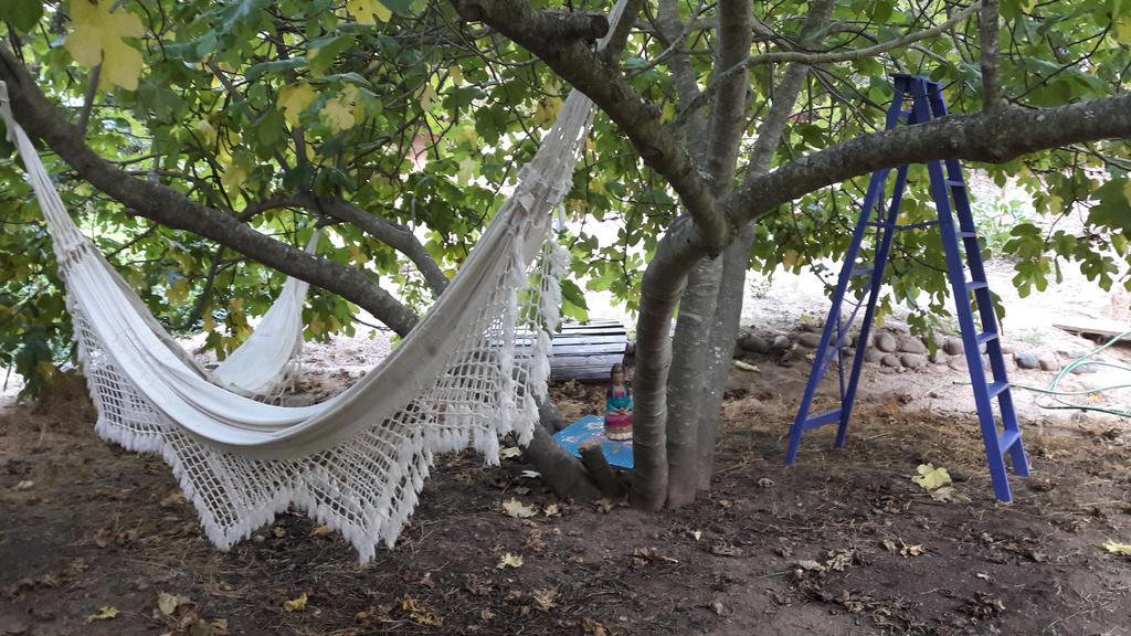 Cabana De Adobe En Lago Rapel Bagian luar foto